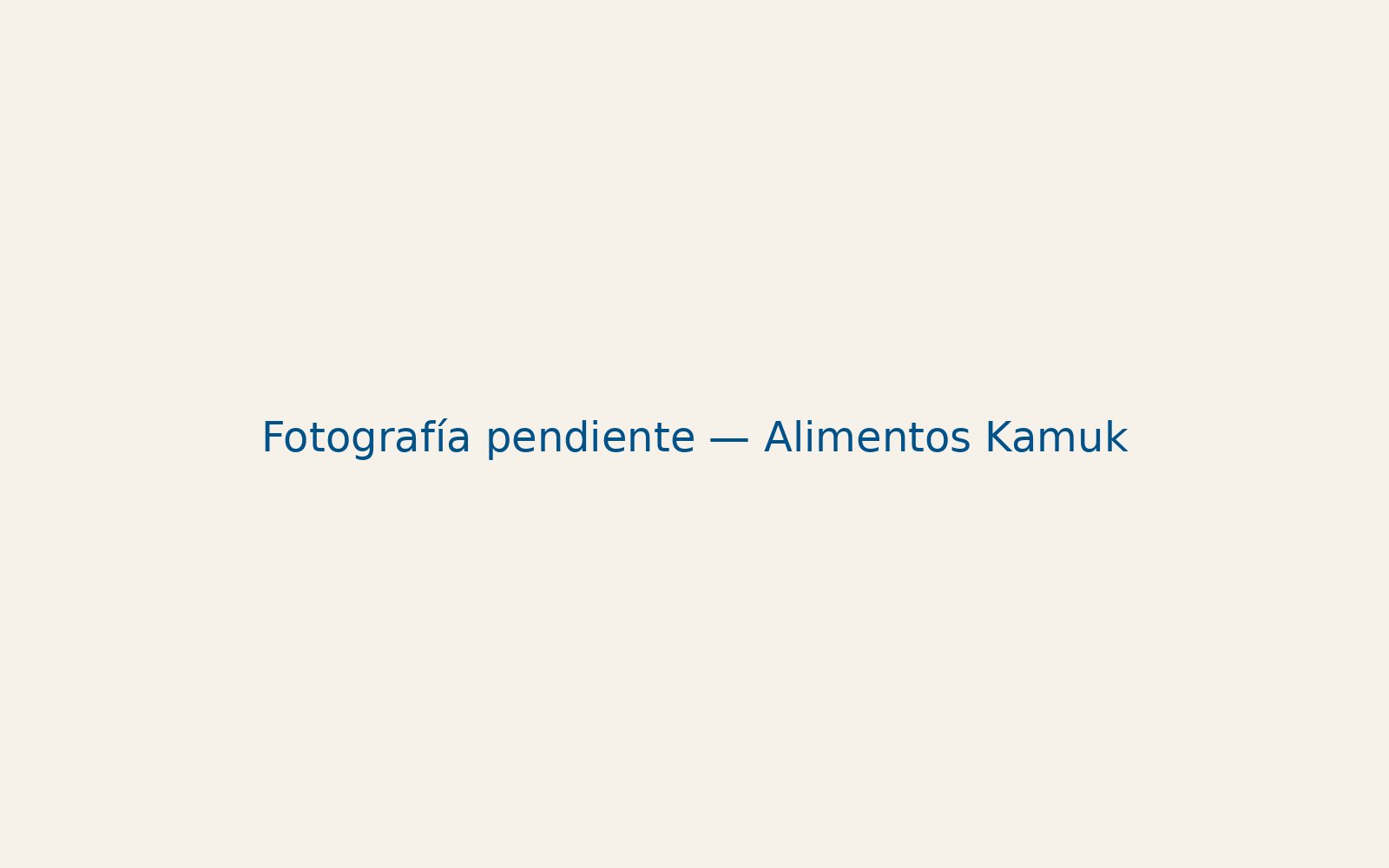 Planta de Alimentos Kamuk en Paraíso de Cartago